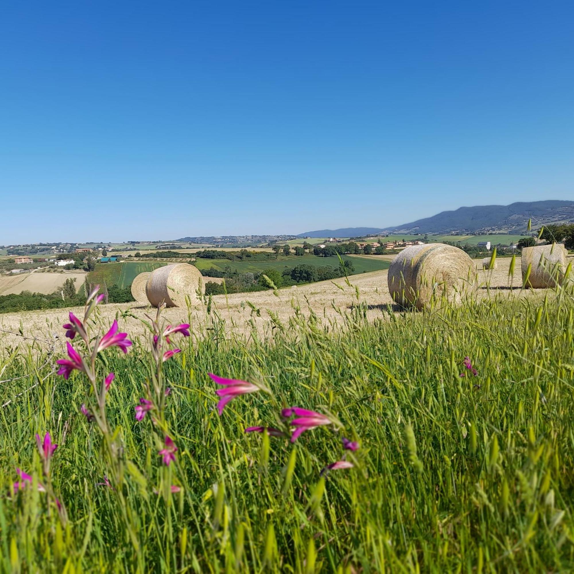 Tenuta San Felice Giano dellʼUmbria Dış mekan fotoğraf