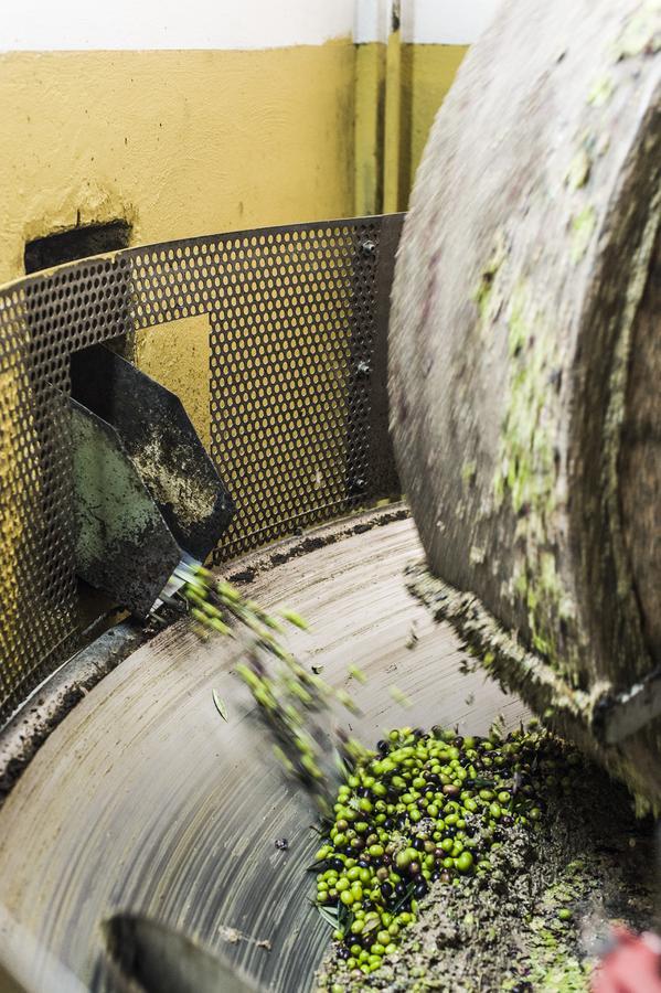 Tenuta San Felice Giano dellʼUmbria Dış mekan fotoğraf