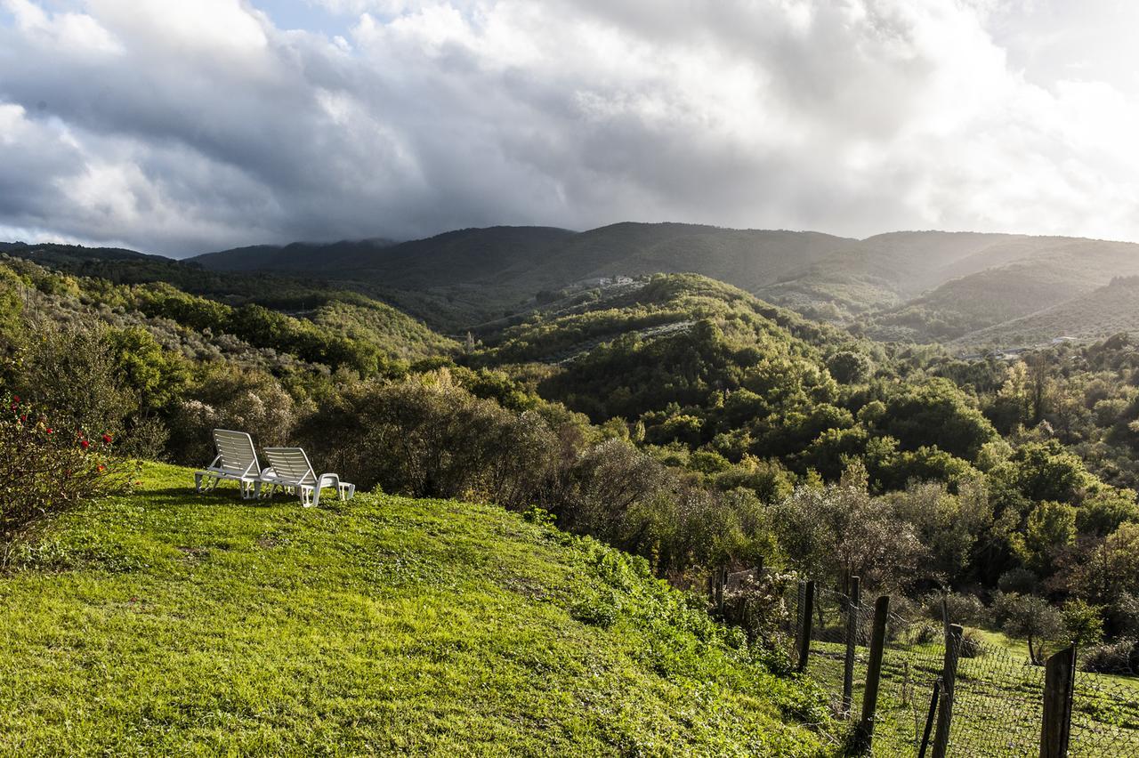 Tenuta San Felice Giano dellʼUmbria Dış mekan fotoğraf