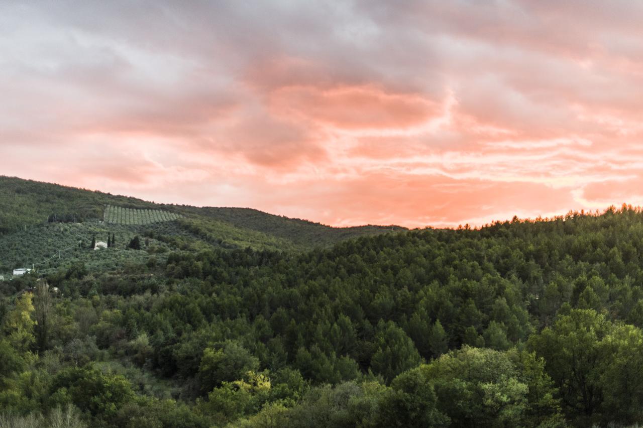 Tenuta San Felice Giano dellʼUmbria Dış mekan fotoğraf