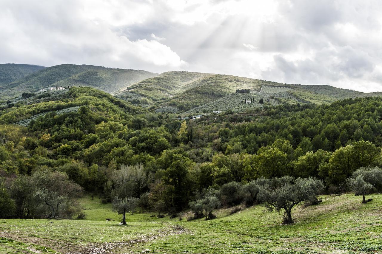 Tenuta San Felice Giano dellʼUmbria Dış mekan fotoğraf
